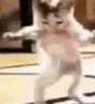 DANCE