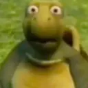 what_the what_the