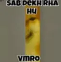 SabDekhRhaVro