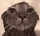 bathtime