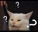 questioncat