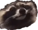 drakSmile