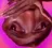 oink_flipped