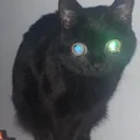 watchingyou
