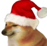 XmasDoge