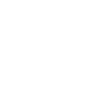 penguin2