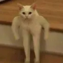 bruh