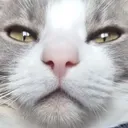 CHA2