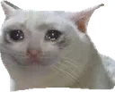 sad