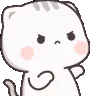 kittiewannafight