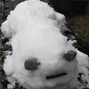 Nuko_IRL Nuko_IRL
