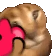 xqcL