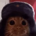 catto2 Discord Emoji