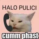police_cat
