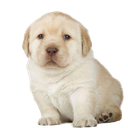 917250667817627699.webp