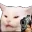 catgun catgun