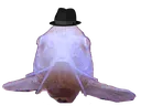 defish