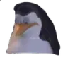 Achicopalado
