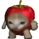 applecat