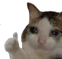 sadcatthumbsup