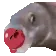 beanfish2 beanfish2