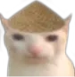 cat_chingchong