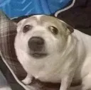 hm