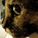 CHA3