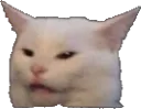 confusedcat