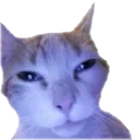 so