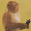 peacemonke_vibes
