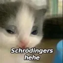 schrodingers_hehe Discord Emoji