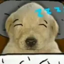 Jotchua_sleep