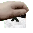 PetTheXge