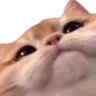 842819034889846825