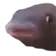 MMMM