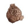 frogespinyetcounterclockwise