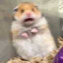 scared