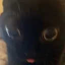 boop