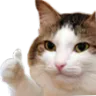 ThumbsUp