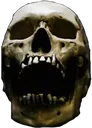 Skull2