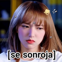 sesonroja Discord emoji
