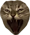 Catface Discord Emoji