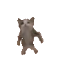 gangnam_kity gangnam_kity