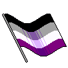 flagacewave