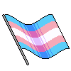 flagtranswave