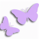 p_butterfly