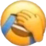 fp