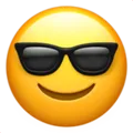 sunglasses_AE