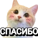 spasibo